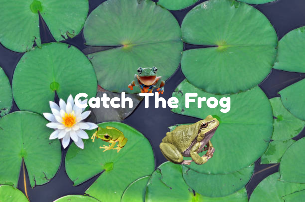 Catch The Frog